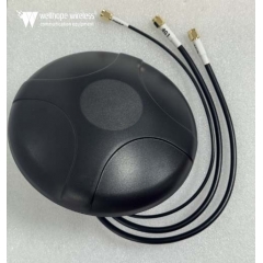 Puck Transportation Antenne