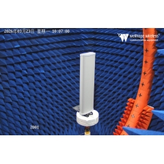 LoRaWAN 5G-Mehrfachantenne