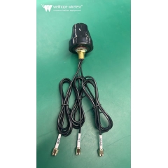 Outdoor Automotive WLAN Antenne WH-4G-2.4-GPS-D2 